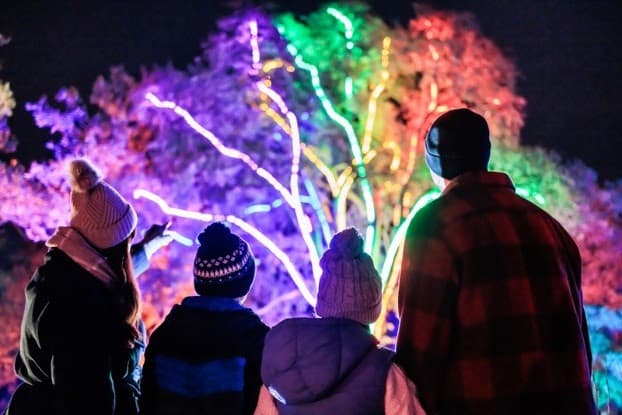 Family enjoying illuminated tree display with vibrant colours
