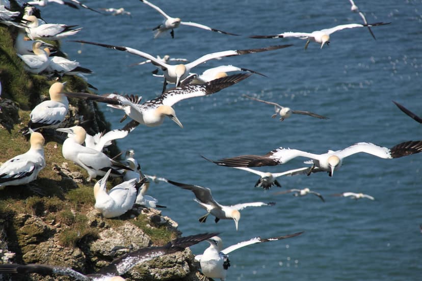Featured image for Yorkshire's Top 10 Natural Highlights - Outdoors
