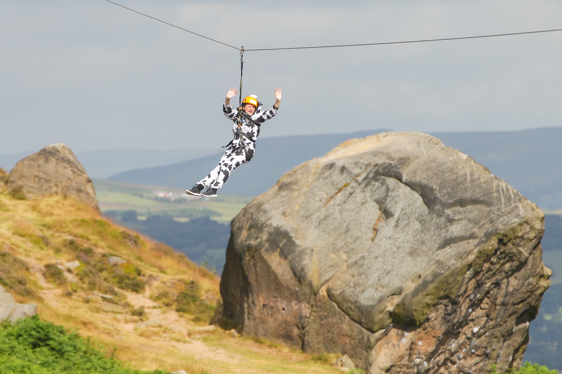 Sue Ryder's Zip the Cow Event Returns with New 'Moon-lit' Experience on July 11, 2026