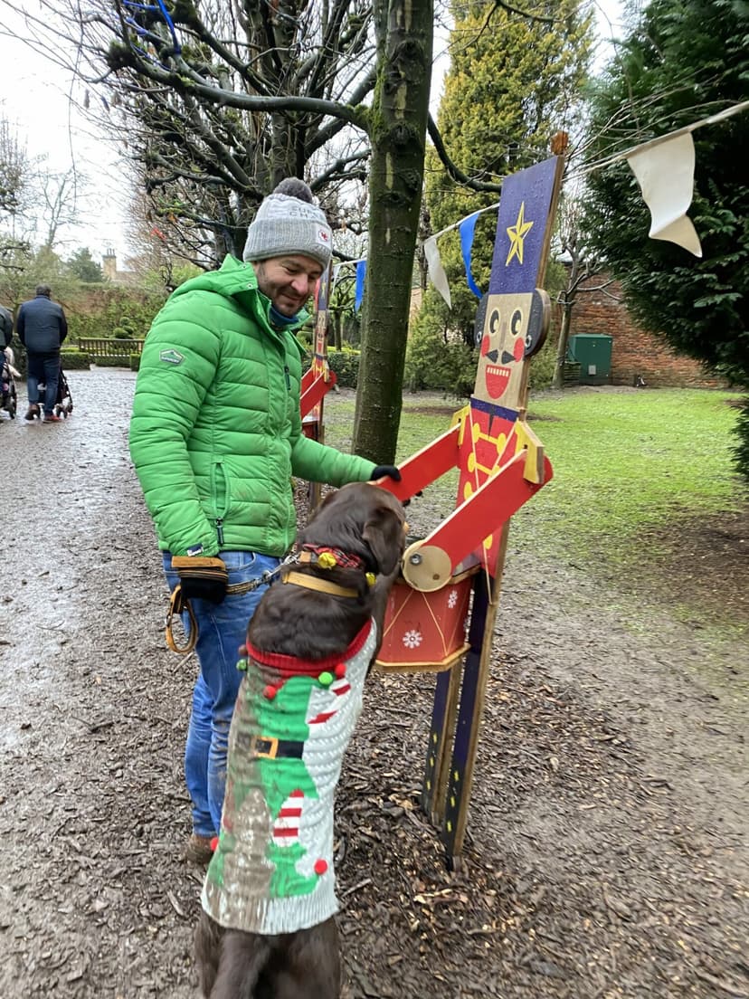 Featured image for Lotherton Christmas Lights Walk - Outdoors