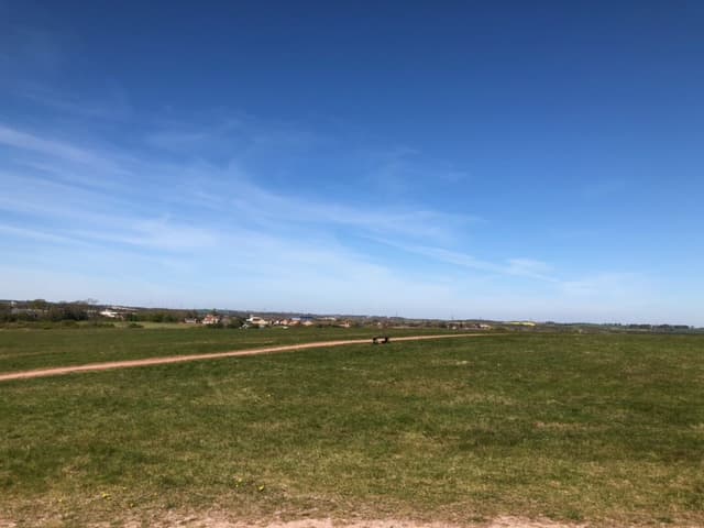 Featured image for Inclusive Walking with Experience Community – The Land Trust - Outdoors
