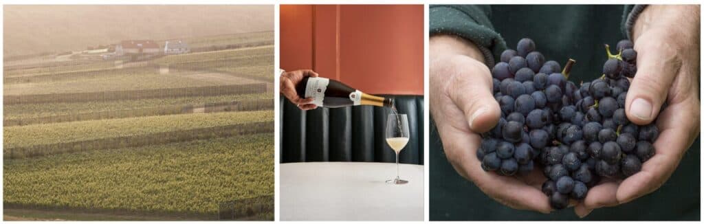 Rahtfinny Wines