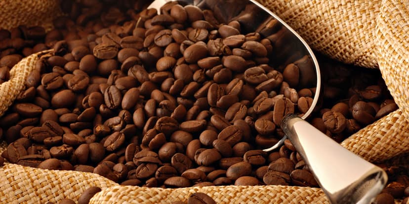 Featured image for The Best Spots to Sip Coffee - Cafes in Yorkshire - Food & Drink