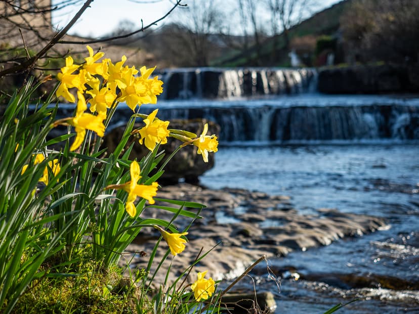 Featured image for Weekly Newsletter - Friday 3rd March 2023 - Features