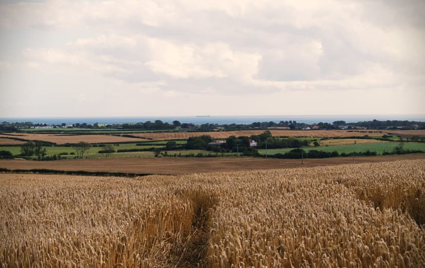 Featured image for Walk: Hunmanby Circular Walk - walking
