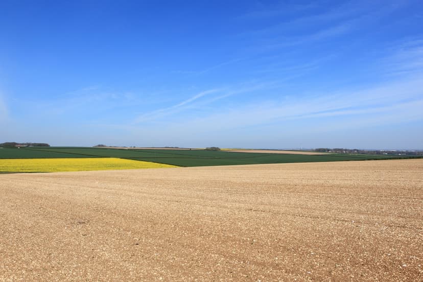 Featured image for Walk: The Chalkland Way - walking