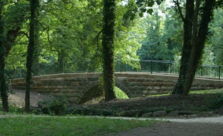 Featured image for Walk: Campsall Country Park - walking