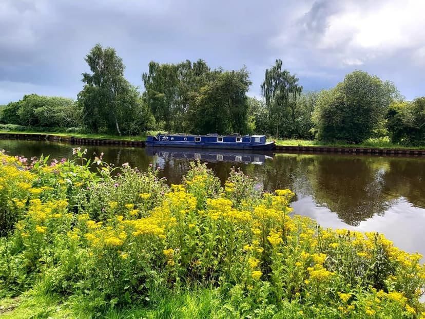 Featured image for A nature reserve, marina, canal and river in Leeds! - Outdoors