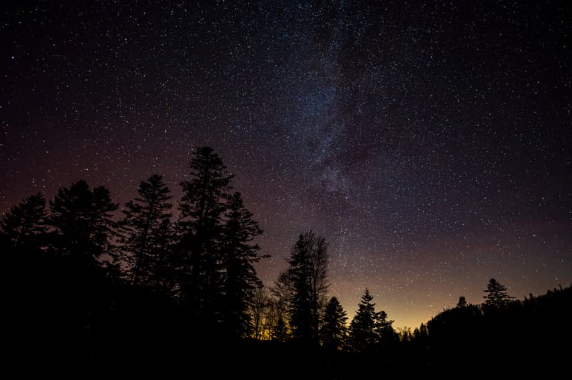 Featured image for Yorkshire Dark Skies Festival 2025 - Features