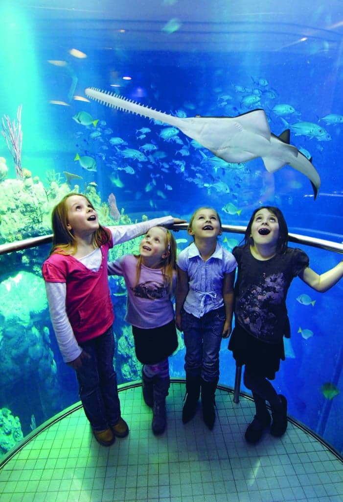 How the Honorary Alderman David Gemmell OBE Education Fund Is Giving Hull Kids a Deeper Learning Experience