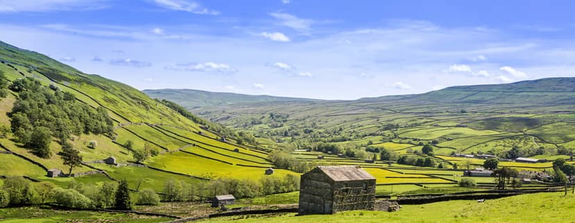 Featured image for Walk: Swaledale Yomp - walking