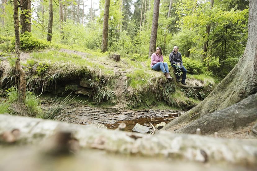 Featured image for Walk: Cropton Forest - walking