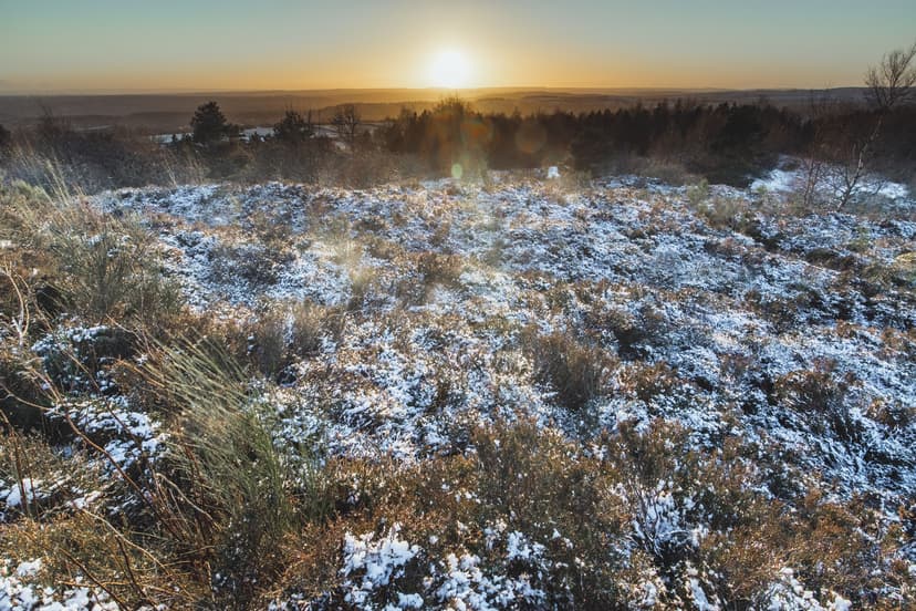 Featured image for Weekly Newsletter - Friday 10th March 2023 - Features