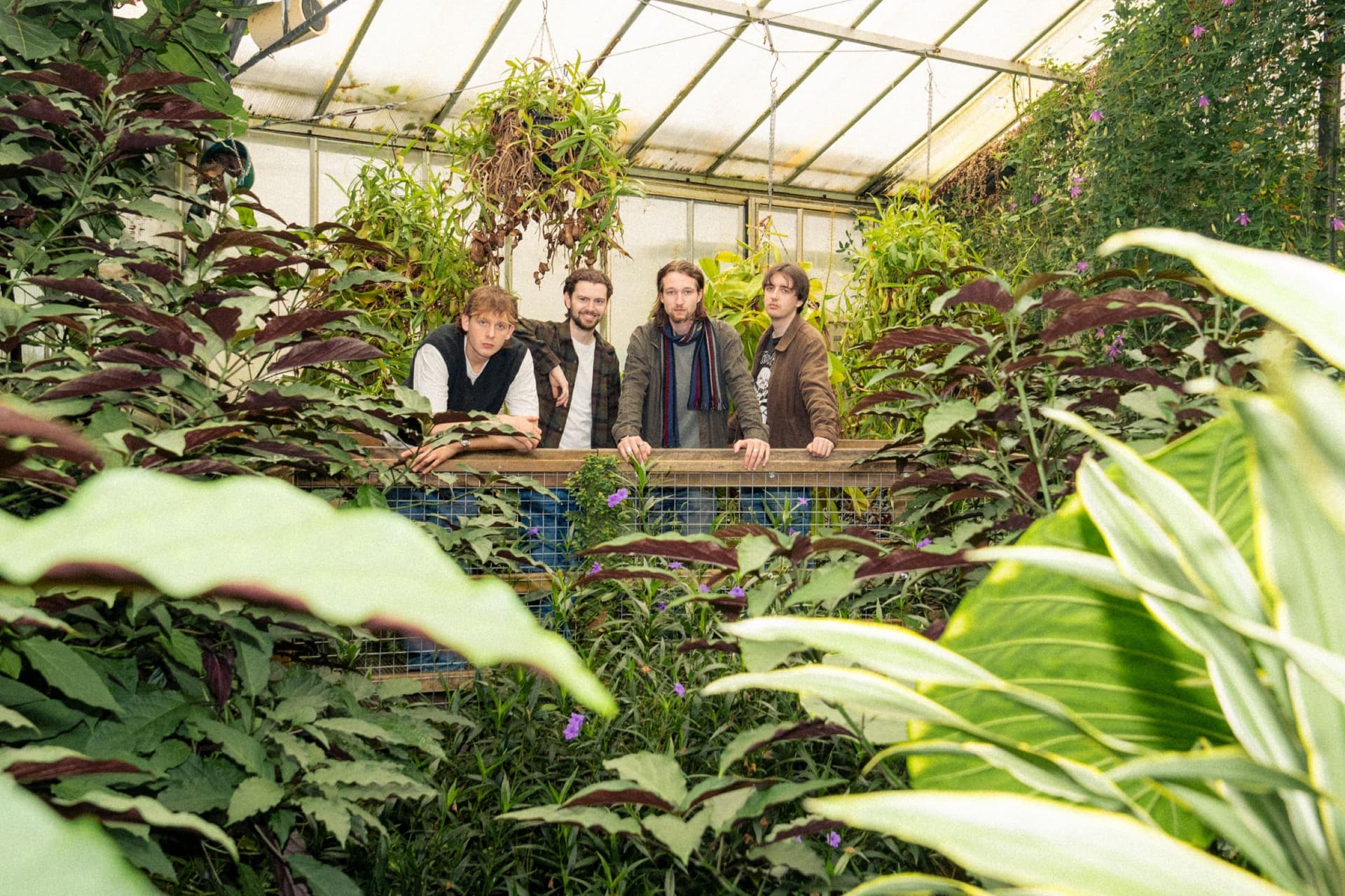 Four people standing on a wooden bridge in a lush greenhouse