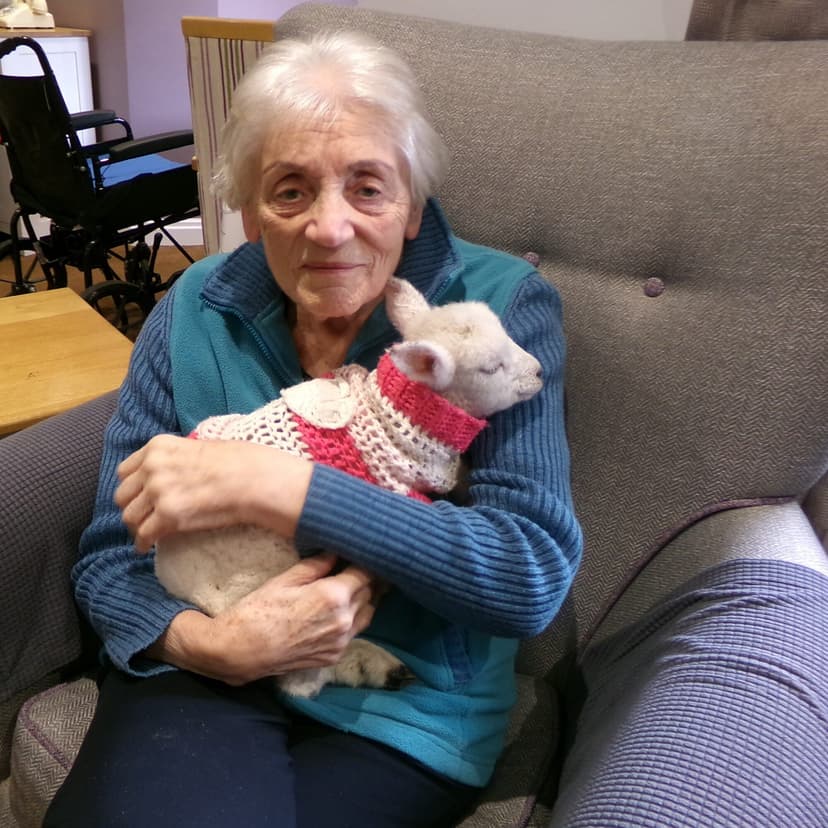Featured image for Baby Lambs Bring Joy to York Care Home Residents - Community