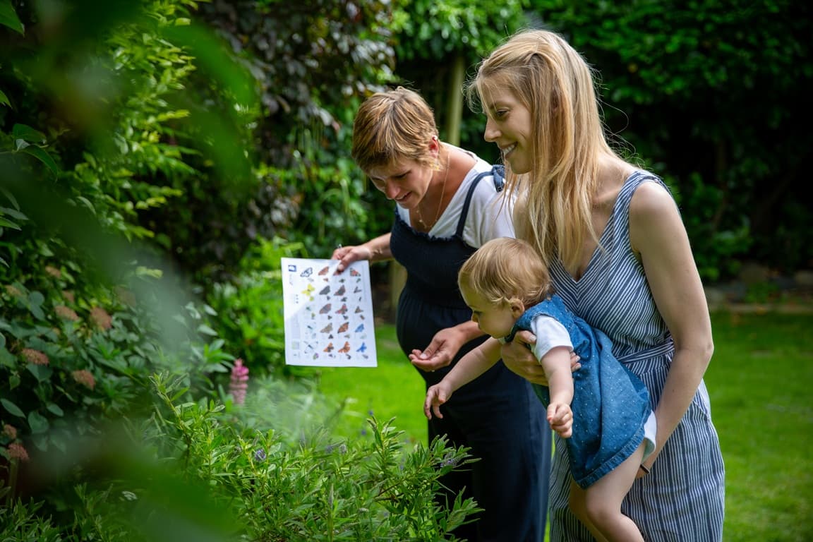 Leeds Families Invited to Participate in Big Butterfly Count 2026 Events