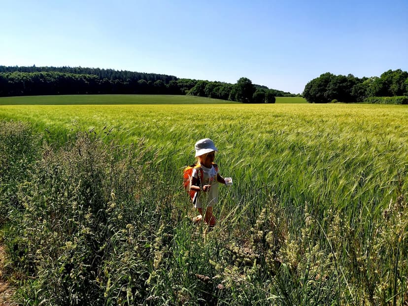 Featured image for Haw Park Wood with Children - Outdoors