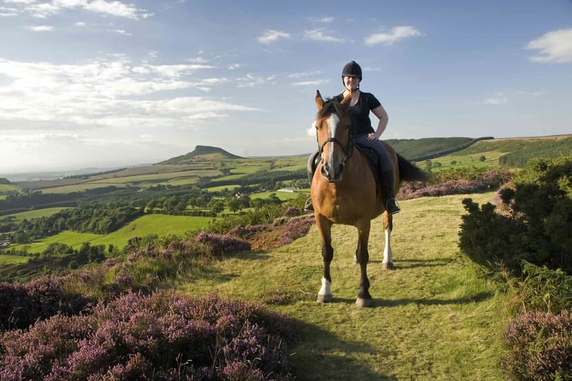 Featured image for Trekking Centres and Riding Holidays - Rural