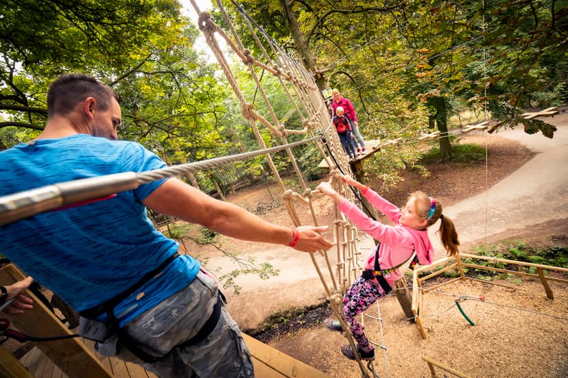Featured image for February half term 2025 activities in Yorkshire - Features