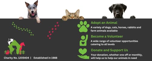 Featured image for How to Answer the Call: Could You Help Us Spread the Word for Thornberry? - Community