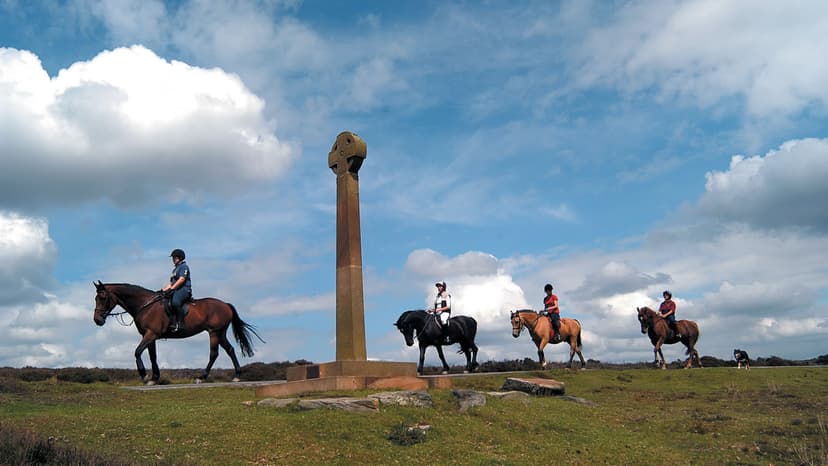 Featured image for Horse Trails and Loops - Rural