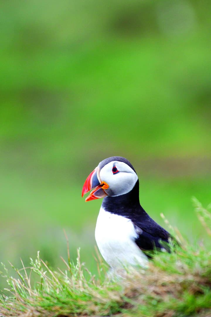 Featured image for Wild and Wonderful - Outdoors