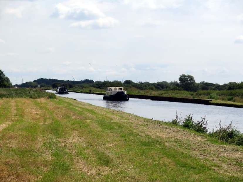 Featured image for Walk: Pollington Canal, Cowick Gorse and Dorr Lane - walking
