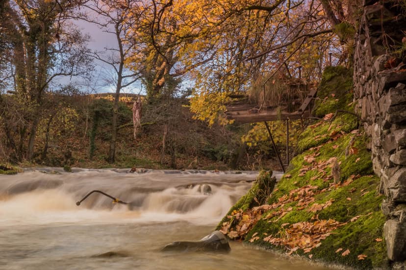 Featured image for Walk: River Rawthey - walking