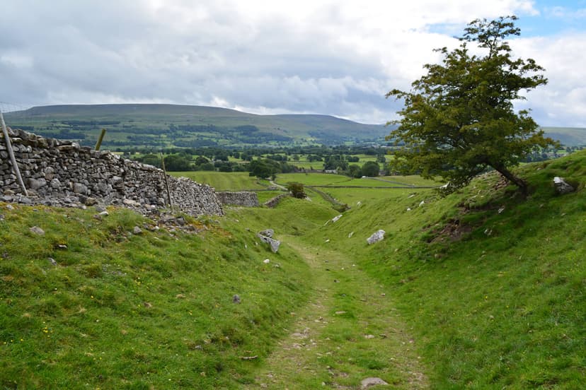 Featured image for Walk: Aysgarth Falls and Bolton Castle - walking