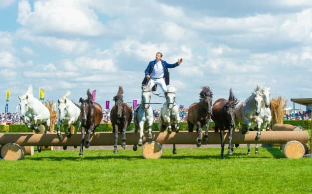 The Great Yorkshire Show