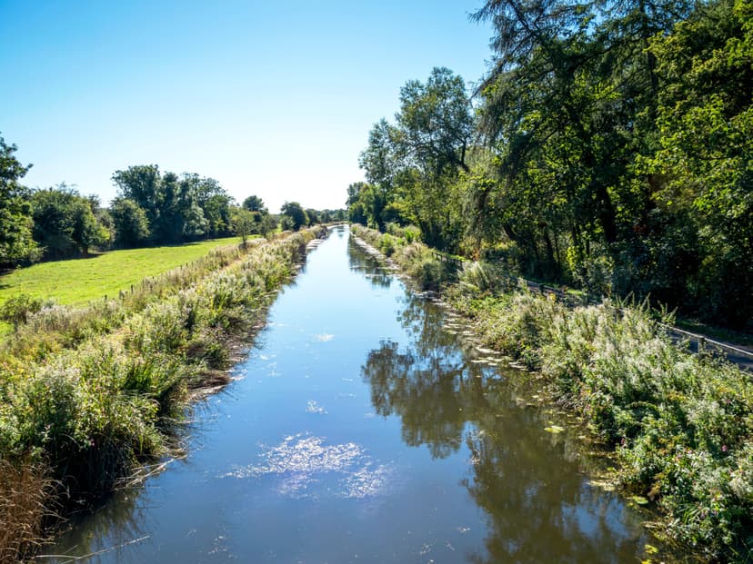 Featured image for Walk: Ripon Canal - walking