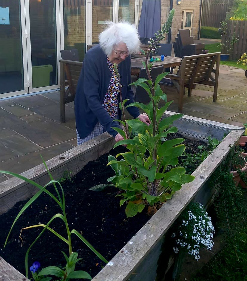 Elderly woman tending to plants in a raised garden bed