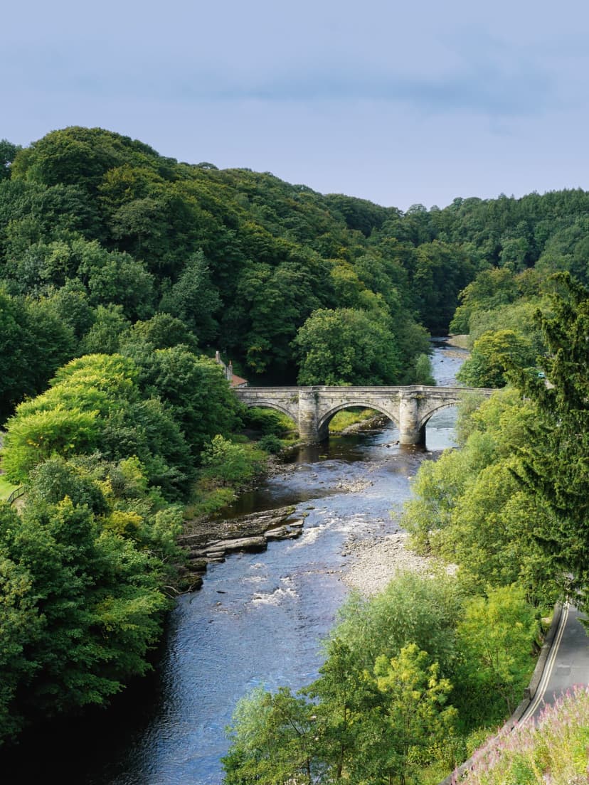 Featured image for Walk: Richmond, Hudswell and the River Swale - walking