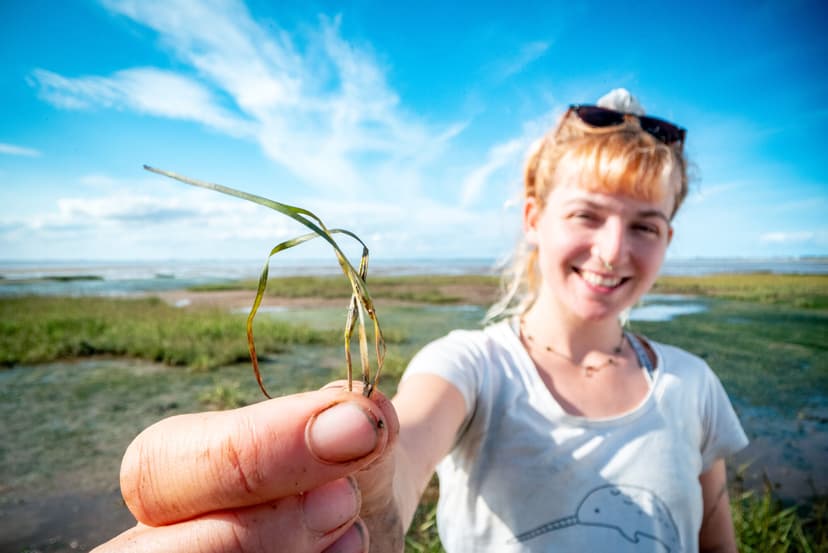 seagrass sculpture