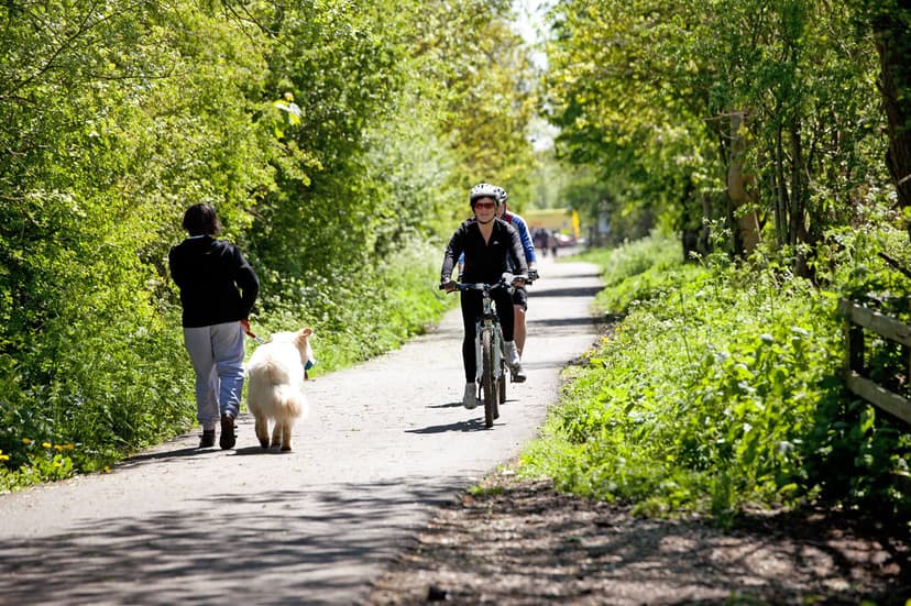 Featured image for Harrogate to Ripley - Outdoors