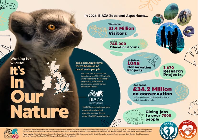 Illustrated map of UK with wildlife conservation statistics