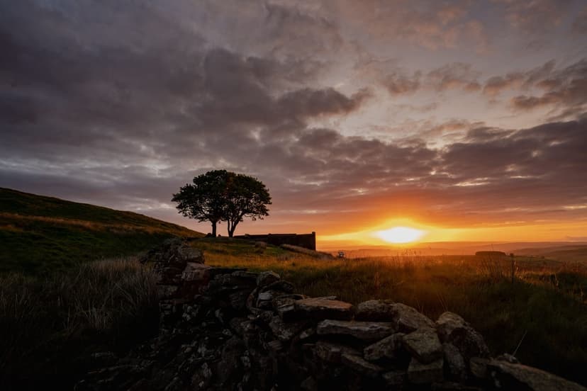Featured image for Yorkshire Authors Poets and Playwrights - Arts & Culture