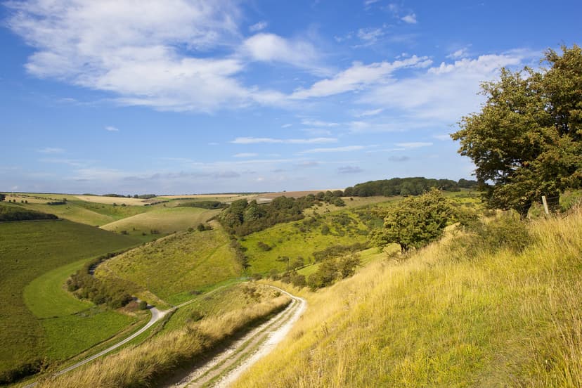 Featured image for 8 Best Winter Walks in East Yorkshire - Outdoors