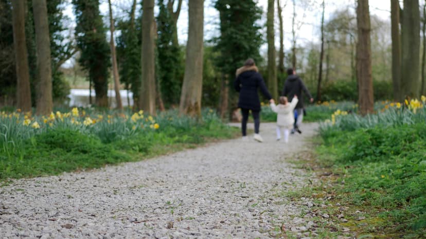 walks in Northallerton