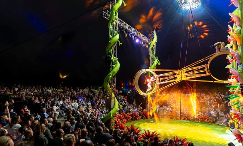 Big Kid Circus