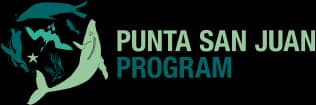 punta san juan