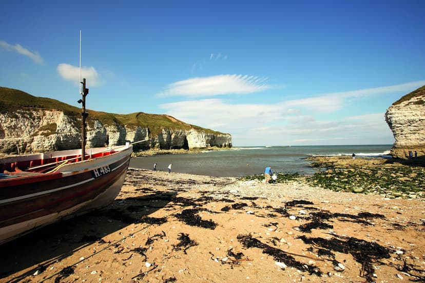 Featured image for 9 Great Coastal Dog Walks - Features