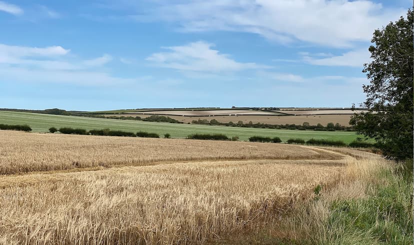 Featured image for Market Weighton to Londesborough – a circular walk in the Yorkshire Wolds - Outdoors