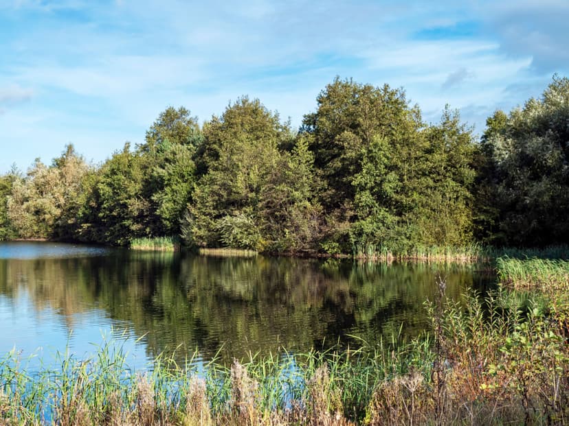 Featured image for Walk: North Cave Wetlands - walking