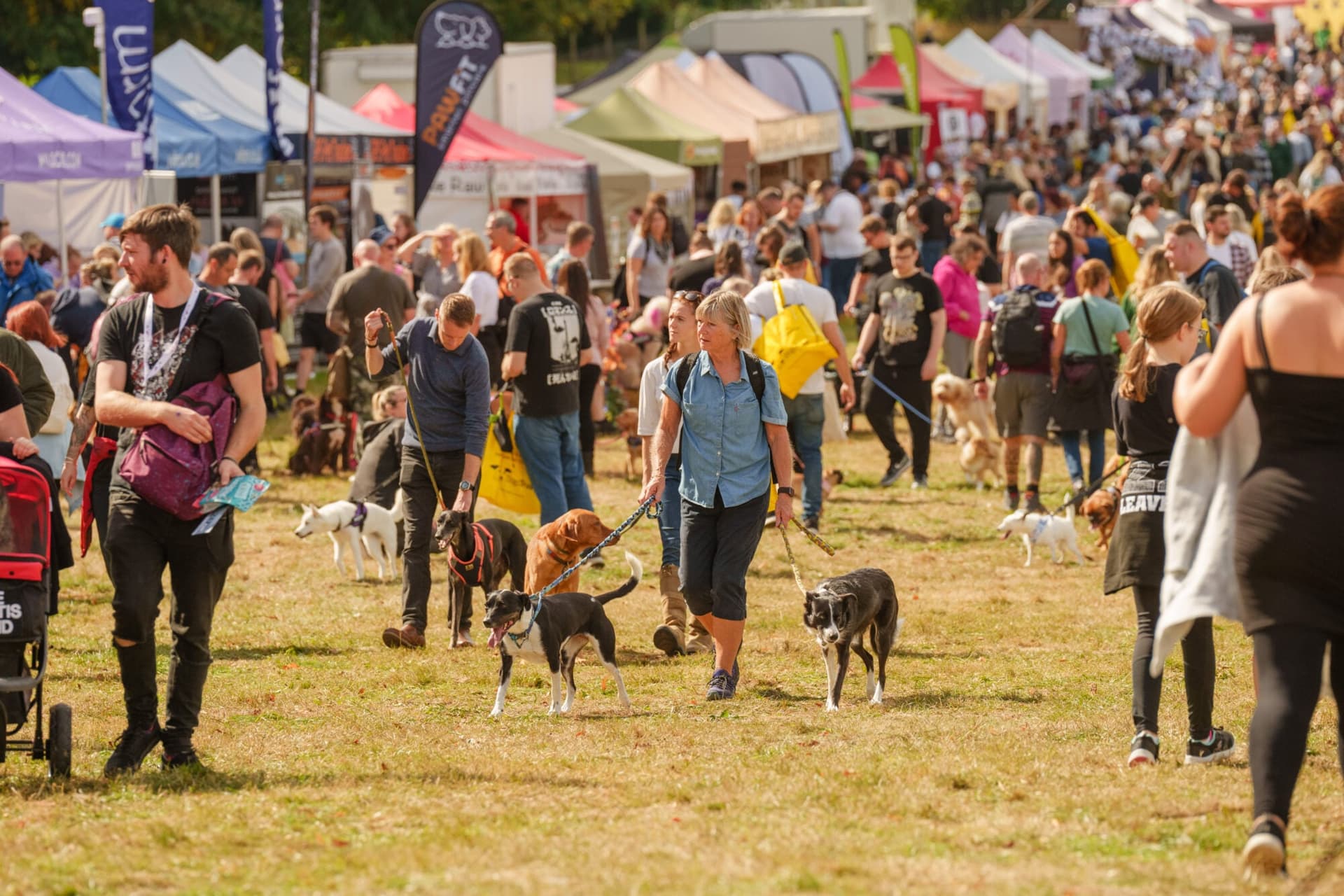 DogFest 2024