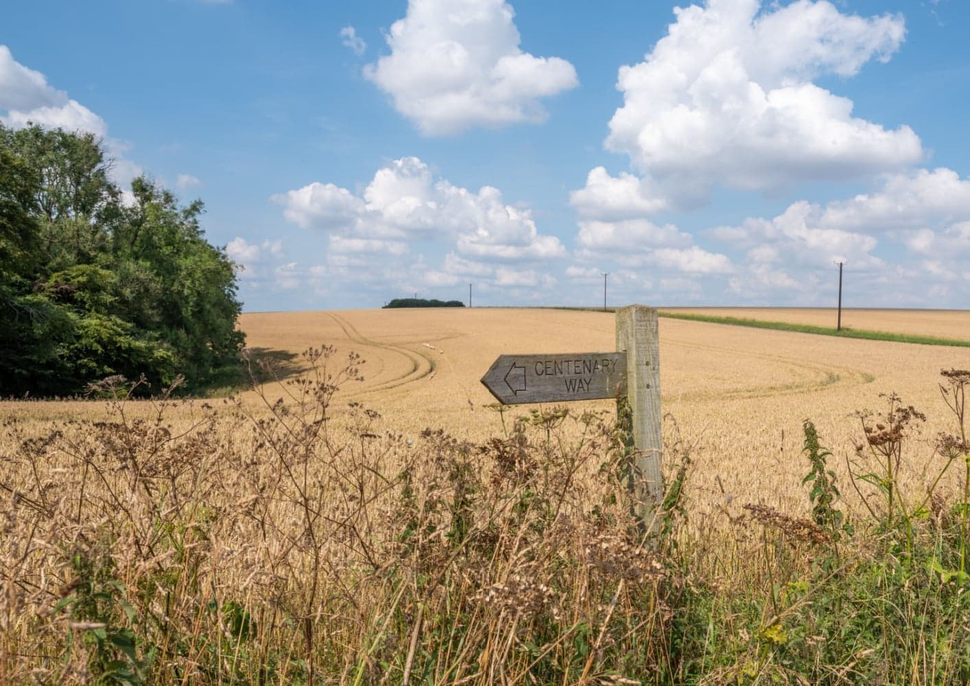 Newsletter: Friday 26th April 2024
