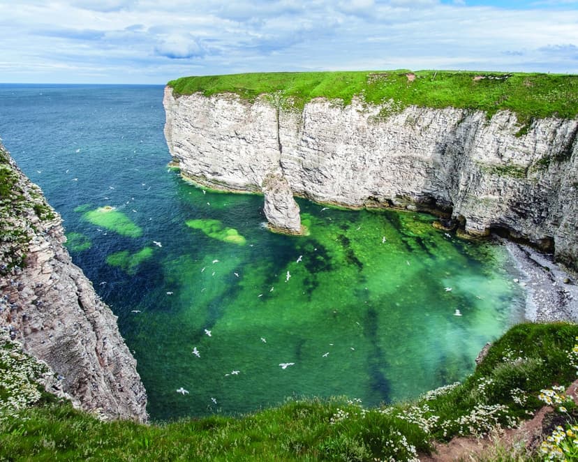 Featured image for Discovering Yorkshire’s Seabird City - Outdoors