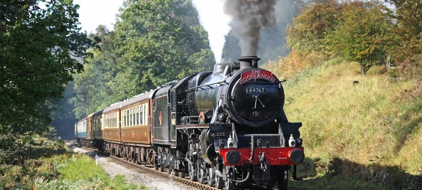 Featured image for All aboard the gin train - Features