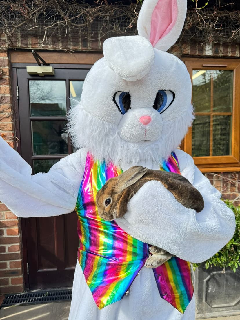 Easter bunny