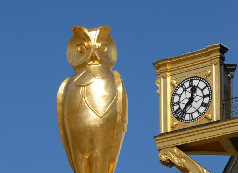 Featured image for Leeds Owl Trail - Outdoors